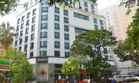 Tổng công ty Lương thực miền Bắc (Vinafood1): Lợi nhuận năm 2022 vượt kế hoạch, chi 57 tỷ đồng trả lương nhân viên