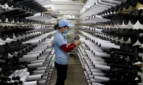 Kiên Giang: Kết nối cung cầu cho ngành sản xuất công nghiệp phát triển