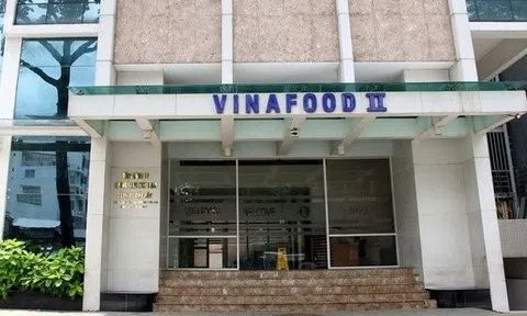 Vinafood II: Thập kỷ đáng buồn của một "bá chủ" ngành gạo