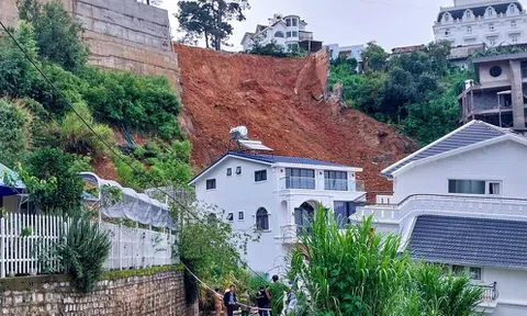Khởi tố vụ án, triệu tập nhiều người liên quan vụ sạt lở ở Đà Lạt