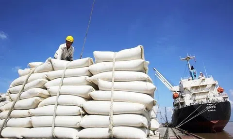 Tăng cường các giải pháp thúc đẩy sản xuất, xuất khẩu gạo