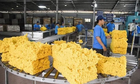Dự báo xuất khẩu cao su tiếp tục gặp khó