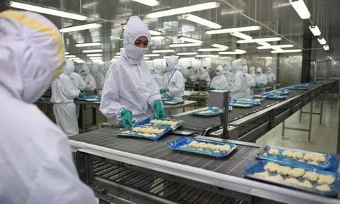 Xuất khẩu thủy sản kỳ vọng phục hồi trong nửa cuối năm