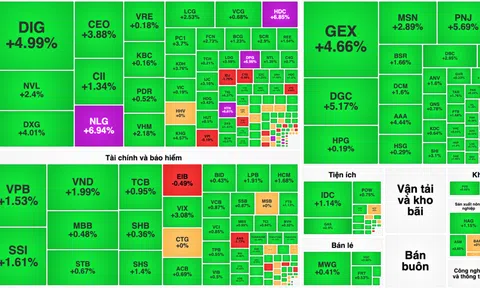 Thị trường trở lại ở mức cao, VN-Index tăng gần 12 điểm