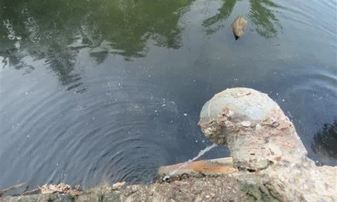 Xả nước thải vượt quy chuẩn, công ty ở Vũng Tàu bị phạt 255 triệu đồng