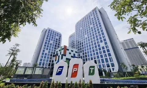 Khối công nghệ đem về 14.200 tỷ đồng doanh thu cho FPT trong 6 tháng