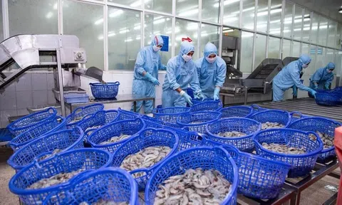 Tiết giảm 7 lần chi phí bán hàng, Sao Ta vẫn kinh doanh đi lùi