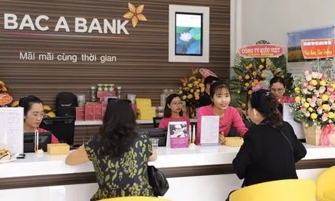 Bac A Bank báo lợi nhuận đi lùi, nợ xấu tăng lên 678 tỷ đồng