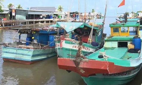 Cà Mau: Tăng cường các biện pháp khắc phục hậu quả do thiên tai gây ra