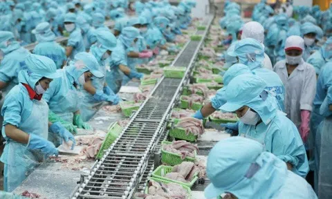 Doanh nghiệp ngành lâm, thủy sản được giảm lãi suất cho vay 1-2%/năm