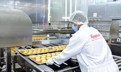 Doanh thu tài chính tăng 45 lần "kéo" lợi nhuận KIDO từ đáy lên đỉnh