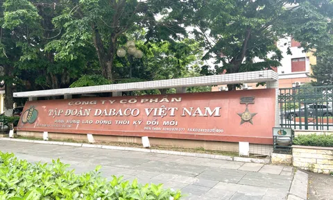 Dự án ParkView bắt đầu có lời, Dabaco kinh doanh khởi sắc trong quý II