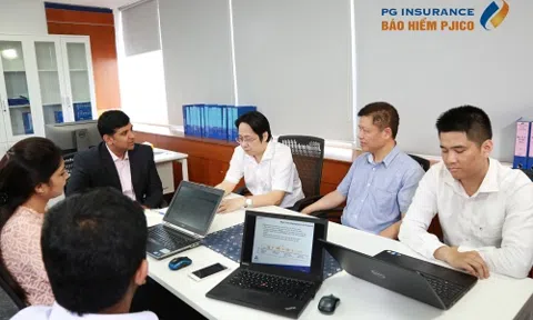 Gần nửa tài sản của Bảo hiểm Petrolimex đang nằm ở ngân hàng