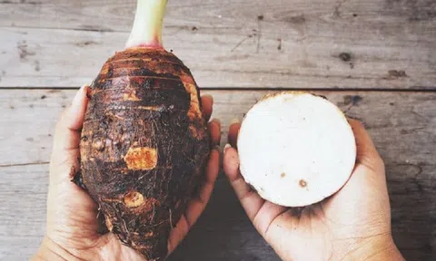 Loại củ vỏ xấu xí bán đầy chợ nhưng vô vàn lợi ích, chống cả ung thư