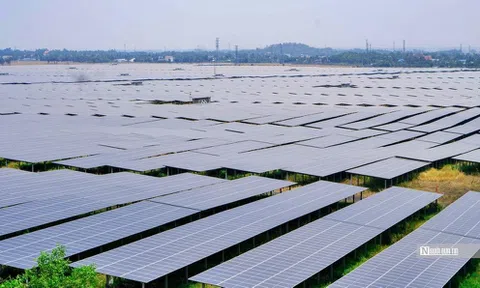 Điểm sáng duy nhất trong bức tranh kinh doanh ảm đạm của Sao Mai