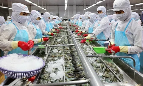 Thắt chặt chi phí, lợi nhuận của Minh Phú vẫn "bốc hơi" hơn 90%