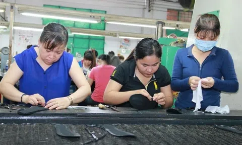 Hướng đi nào cho lao động lớn tuổi mất việc?