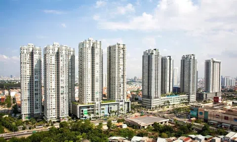 Công ty thâu tóm Nova Nippon báo lỗ triền miên, 1 đồng vốn 8 đồng nợ