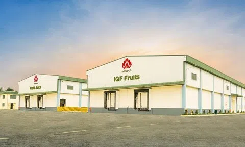 Giá cổ phiếu bật tăng, cổ đông ngoại thoái sạch vốn khỏi Nafoods Group