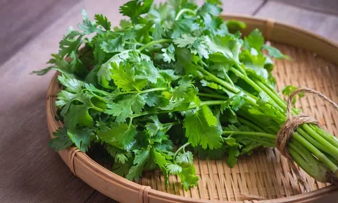 Loại rau thơm mọc tốt như "cỏ dại" không ngờ toàn thân là kho báu, vitamin C cao gấp 5 lần chanh
