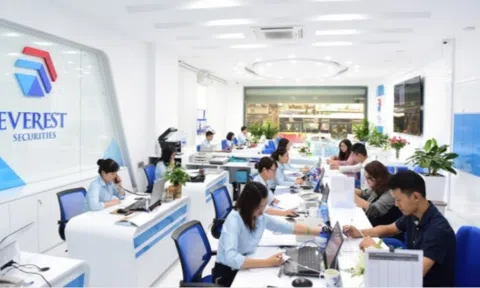 Quỹ đầu tư liên quan Chủ tịch Chứng khoán Everest mua 5 triệu cổ phiếu EVS