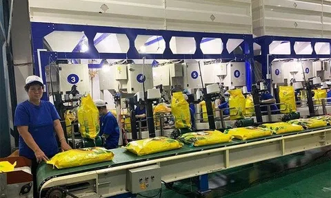 Sau loạt sai phạm, cổ phiếu của Trung An sang diện kiểm soát