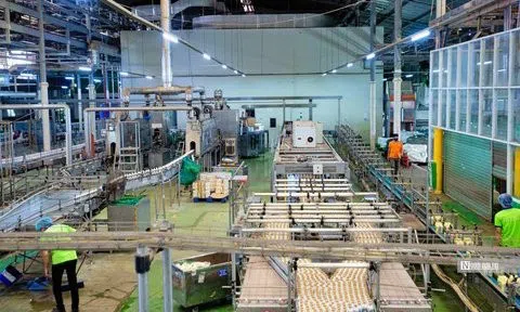 Giải cứu doanh nghiệp như thế nào cho đúng?