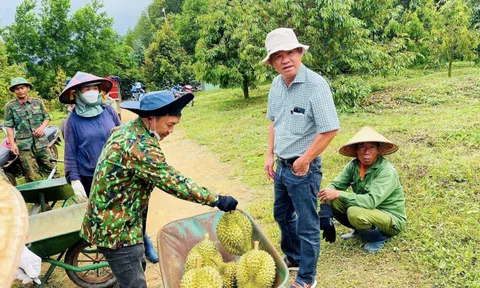 Lợi nhuận sụt giảm, HAGL mới chỉ hoàn thành hơn 60% kế hoạch đề ra
