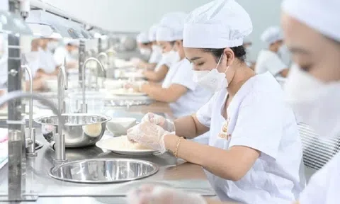 Chuẩn bị xuất khẩu lô tổ yến đầu tiên sang Trung Quốc