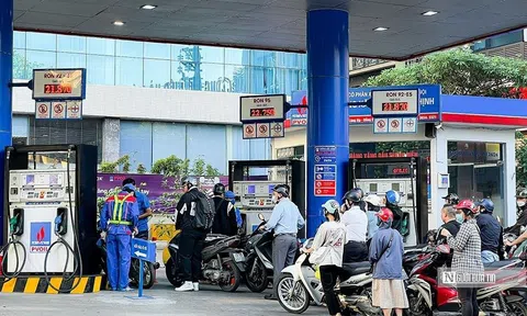 Quản lý xăng dầu: Nên quy về một mối?