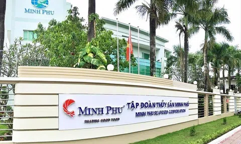 Phong độ của “vua tôm" Minh Phú sau khi trở lại sàn chứng khoán