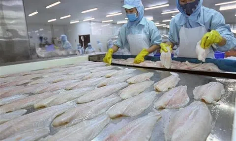 Xuất khẩu cá tra giảm tốc, thấp nhất từ đầu năm