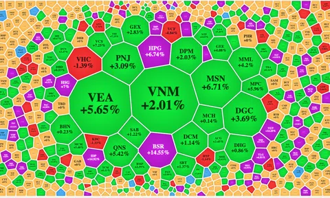 Gần 230 mã tăng trần, VN-Index tiếp tục tăng ngoài dự báo