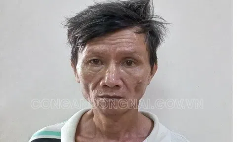 Đồng Nai: Bắt gã đàn ông sát hại mẹ ruột