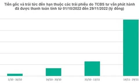 11 tháng đầu năm 2022, trên 400 mã trái phiếu do TCBS tư vấn phát hành đã được thanh toán đủ lãi và gốc, trị giá 22.000 tỷ đồng