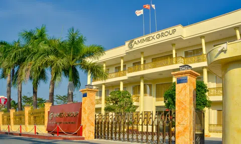 Camimex phát hành 300 tỷ đồng trái phiếu, bảo đảm bằng cổ phiếu CMM