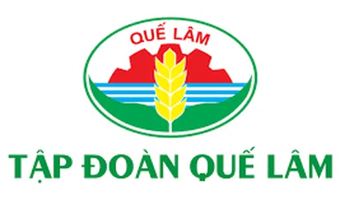 Công ty Quế Lâm Phương Bắc – Bài 1: Trúng hàng chục gói thầu với tỉ lệ tiết kiệm siêu thấp