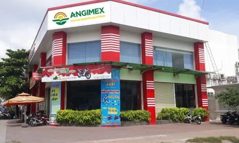 Sau Tổng Giám đốc, Chủ tịch HĐQT Louis Holdings từ nhiệm tại Angimex