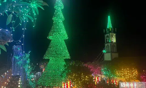 Người dân nô nức đi xem cây thông làm từ 2.500 nón lá ở Đồng Nai