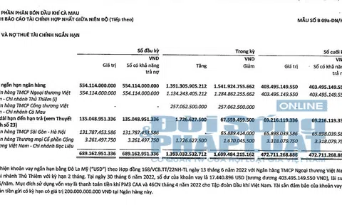 Đạm Cà Mau: Bị truy thu thuế và những khoản vay tại các ngân hàng
