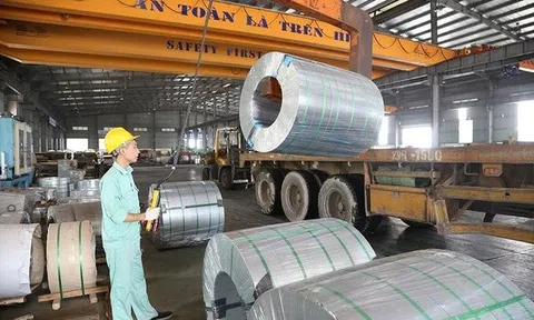 Thành Nam giải thể công ty con do kinh doanh không đạt hiệu quả