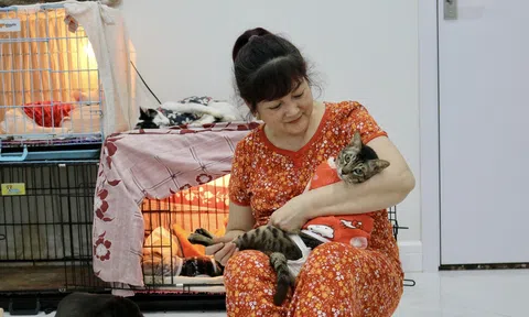 Năm Mão nói chuyện mèo: “Thiên đường hạnh phúc” của những chú mèo vô gia cư