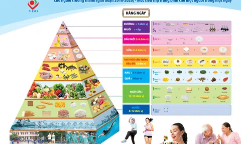Chế độ ăn khoa học là gì?