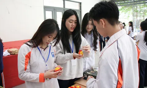 Biến giấy vụn trở thành những "món đồ xanh" thân thiện với môi trường