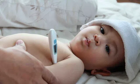 Trẻ bị sốt xuất huyết có biểu hiện gì?