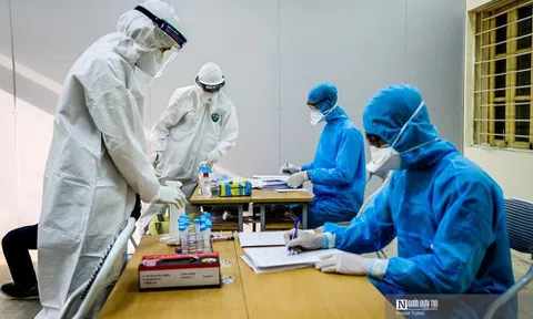 Hà Nội tăng cường thu thập mẫu giải trình tự gene tìm biến chủng mới