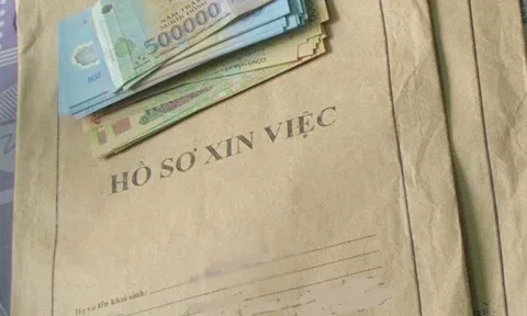 Nghệ An: Khởi tố nguyên giáo viên “nổ” chạy vào biên chế để lừa tiền