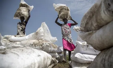 Thế giới trước nguy cơ nghèo đói và di cư trên "quy mô chưa từng có"