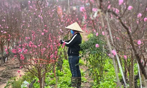 Đề xuất 2 phương án nghỉ Tết Nguyên đán Quý Mão năm 2023