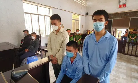 2 anh em sinh đôi lãnh án vì mang hung khí đi “giải cứu” em trai